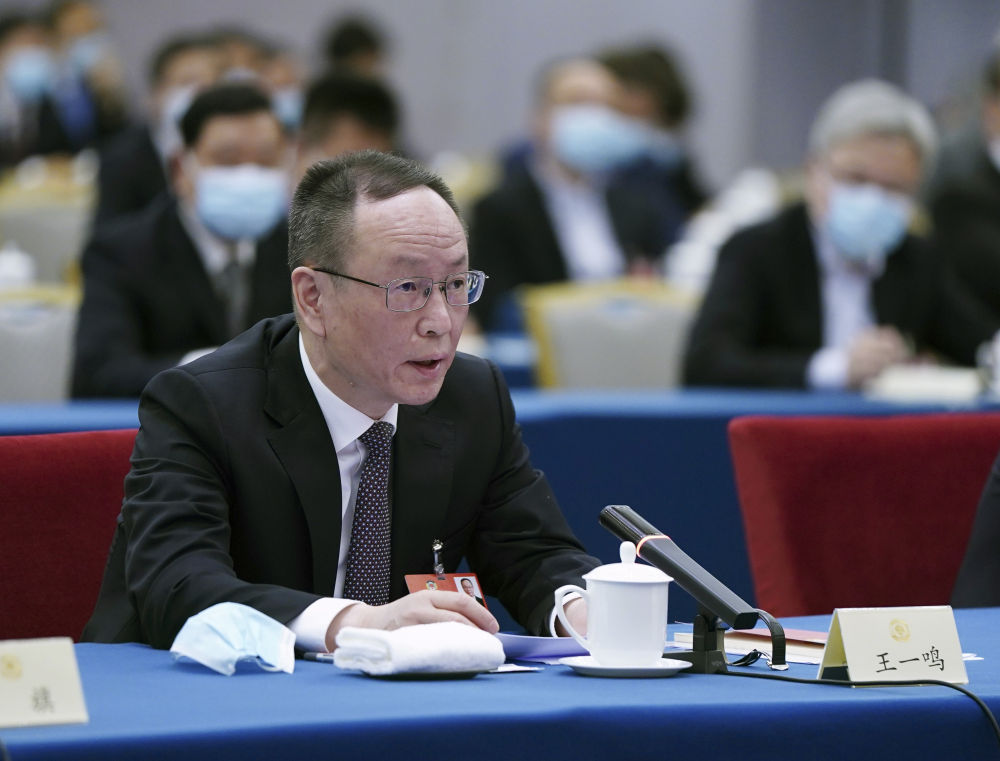 5月23日，全國政協(xié)委員王一鳴在經(jīng)濟界聯(lián)組會上發(fā)言。新華社記者　謝環(huán)馳　攝